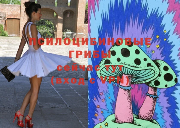 Альфа ПВП Беломорск