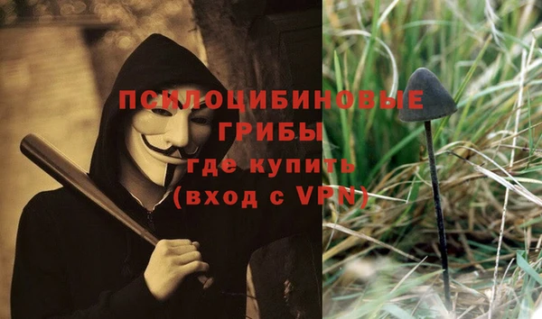 не бодяженный Белокуриха